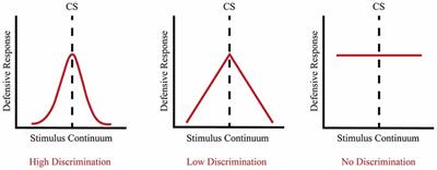 The Neurobiology of Fear Generalization